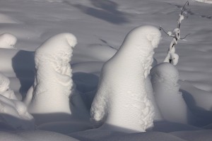 IMG_7848-1-2-3