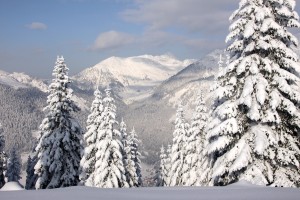 IMG_7938-1