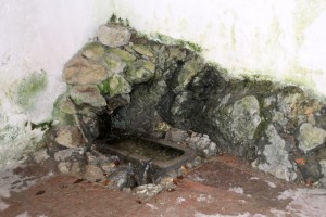 IMG_2019