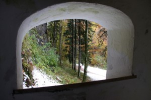 IMG_2025