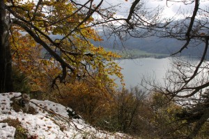 IMG_2058