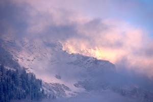IMG_3154