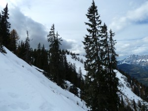 P1060732