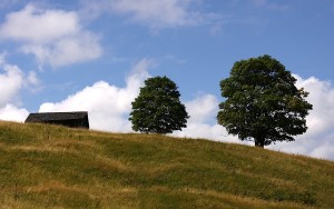 IMG_6196
