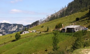 IMG_6251