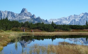 P1050926