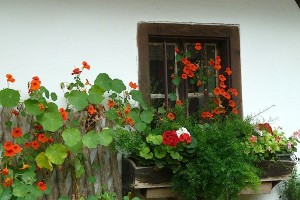 P1050976