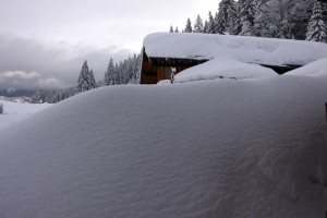 Bilderbuch Winter