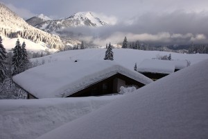 Bilderbuch Winter