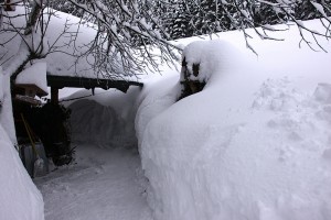 Bilderbuch Winter
