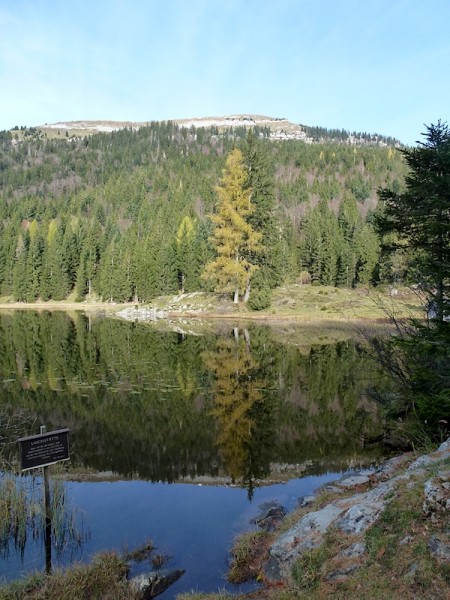 Seewaldsee mit Blick zum Trattberg
