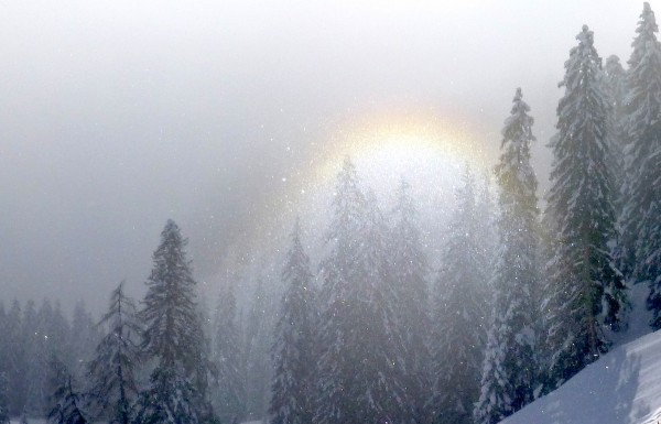 Schneebogen :-)