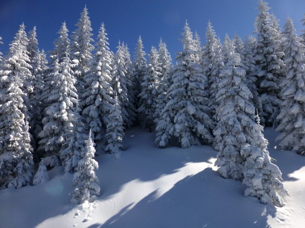 Gondelblick