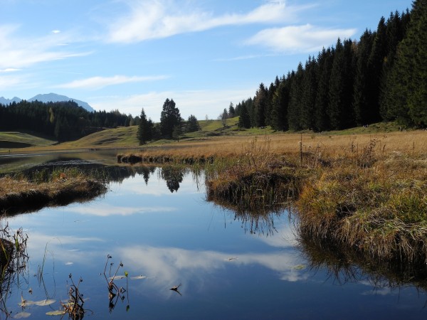 Seewaldsee
