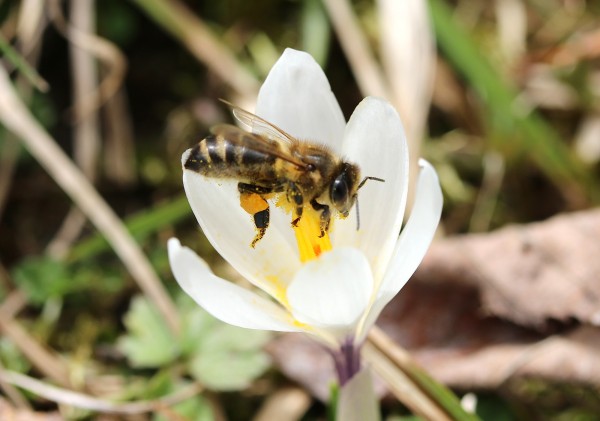 20140331_0795
