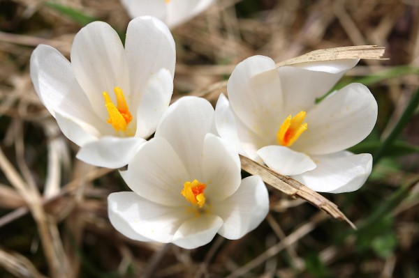 20140331_0798
