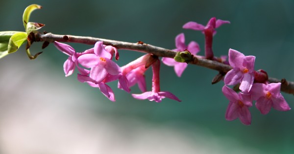 20140401_0848