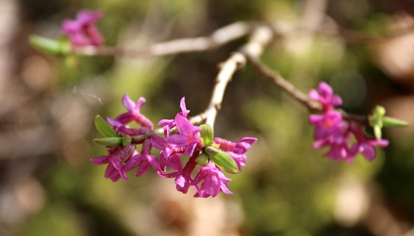 20140401_0859