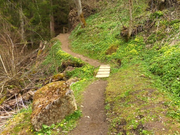 der Weg ist das Ziel ...