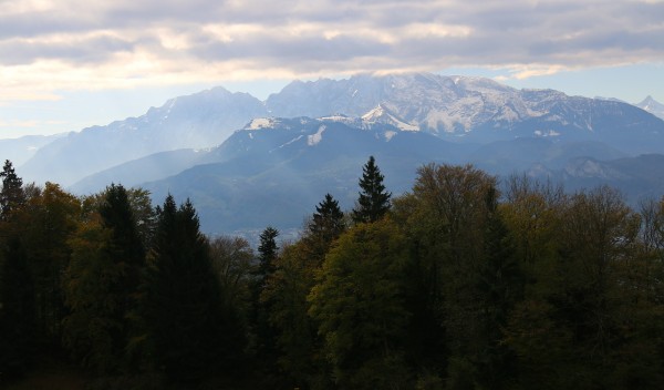 IMG_3381-1