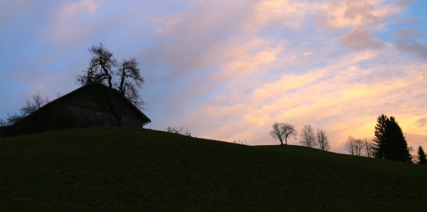 Triebeneggbauer