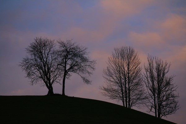 Letztes Licht am Himmel