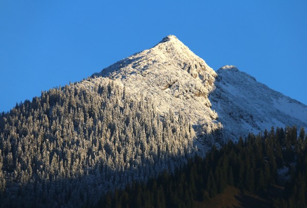 ganz in weiß ...