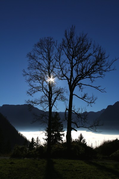 Nebel im Salzachtal, auf den Bergen ist es sonnig und warm - und auch Russbach ist Nebelfrei, also, selbst wenn wir nächstes Wochenende beim Adventmarkt keinen Schnee haben - gibt es dafür sicher wunderbares Spätherbstwetter!!!