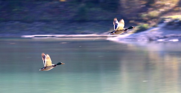 Abflug