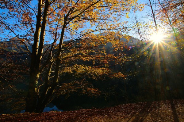 letzte Sonnenstrahlen