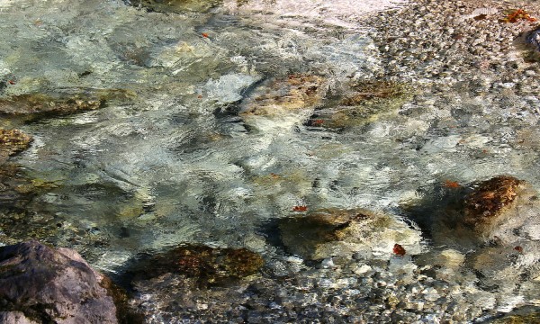 reinstes Trinkwasser!