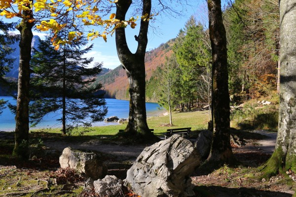 Durchblick