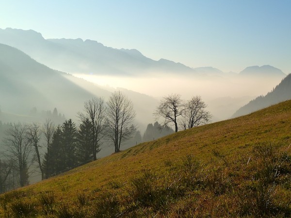 Nebelstimmung überm Lammertal