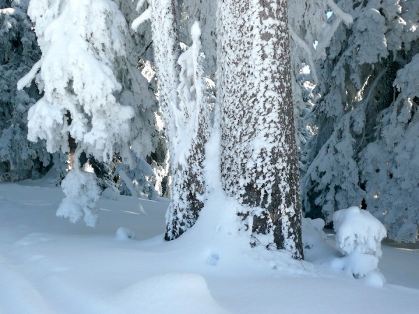 Dachstein West