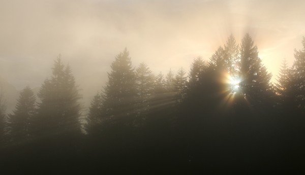 Nebelstimmung