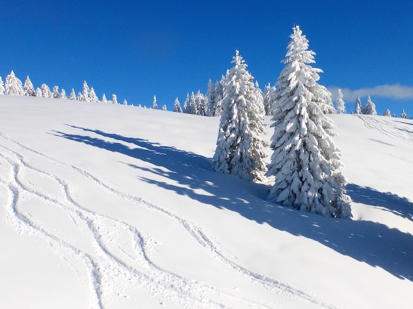 Zwieselalm