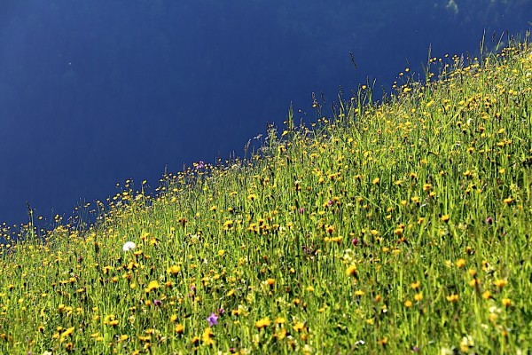 20150528_1476
