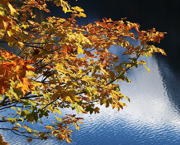 Herbst Dachstein West