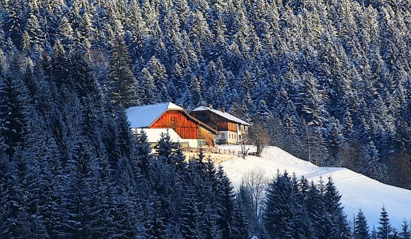 Schnee - Dachstein West
