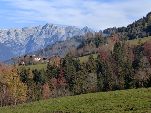 Hahnbaumalm, meine schöne Heimat