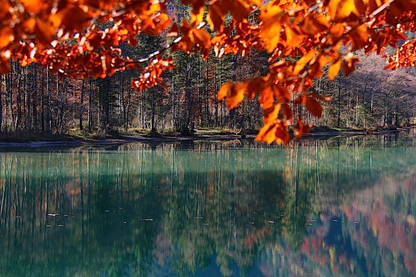 Herbst im Salzkammergut