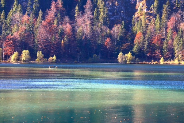 Offensee - Salzkammergut