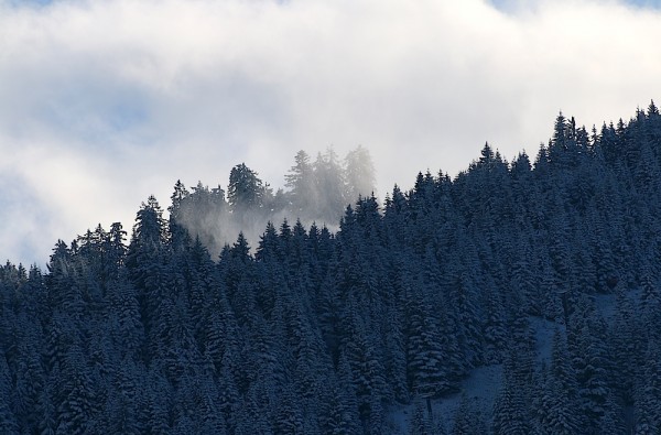 Schnee - Dachstein West