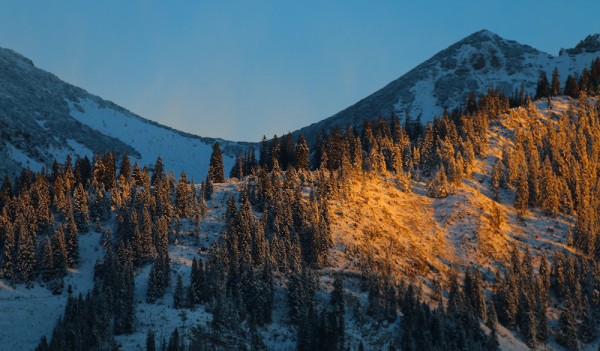 Dachstein-West - Morgenstimmung