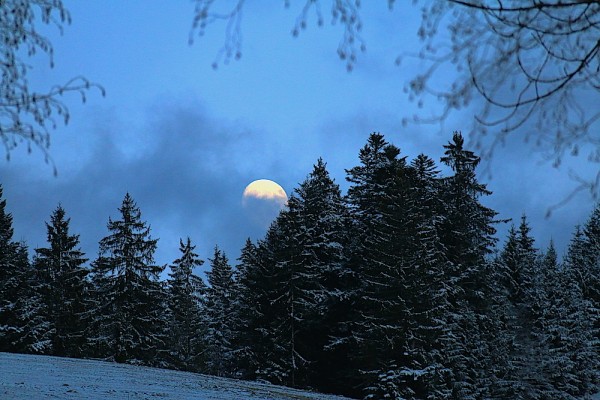 Schnee - Dachstein West
