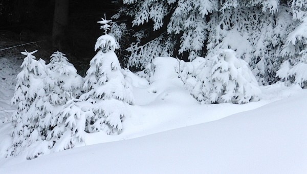 Skifahren Dachstein West