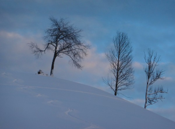 Dachstein West Russbach
