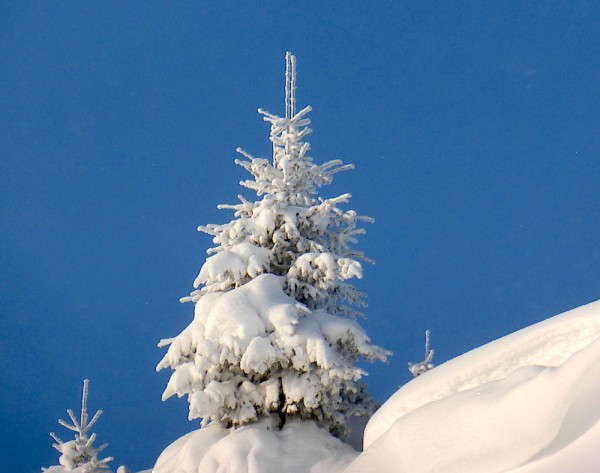 Skischule Russbach