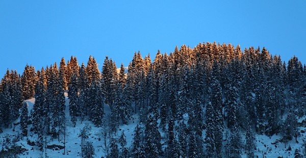 Russbach Berge Balkonblick
