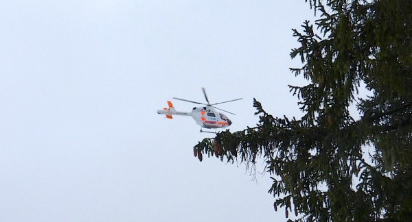 Neuschnee - Dachstein West